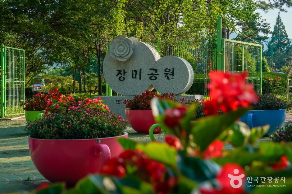 장미공원(창원) 여행 추천 - 메고지고
