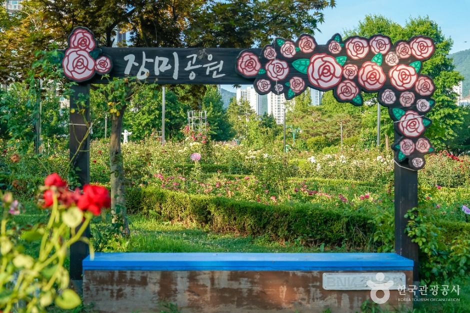 장미공원(창원) 여행 추천 - 메고지고