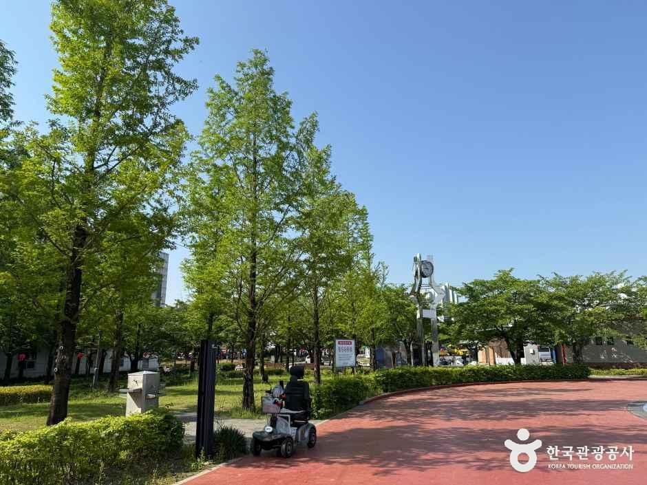 원주젊음의광장 여행 추천 - 메고지고