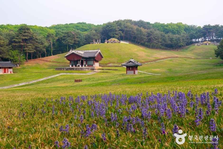 구리 동구릉 [유네스코 세계유산] 여행 추천 - 메고지고