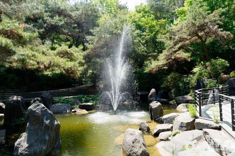 그림같은 수목원(그림이 있는 정원) 여행 추천 - 메고지고 그림같은 수목원(그림이 있는 정원) 여행 추천 - 메고지고