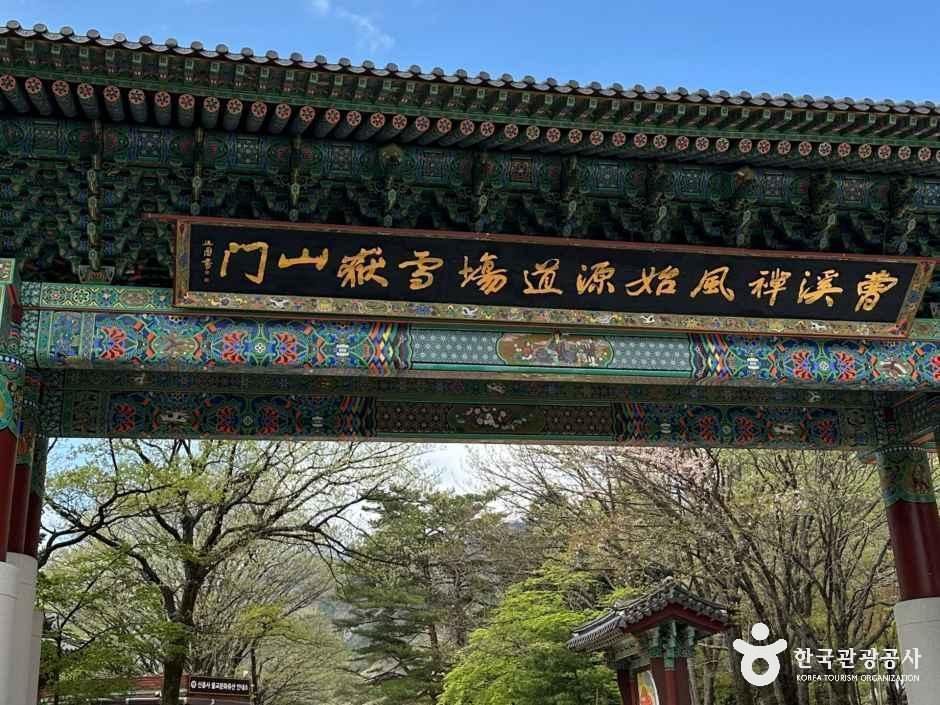 설악산소공원 여행 추천 - 메고지고 설악산소공원 여행 추천 - 메고지고