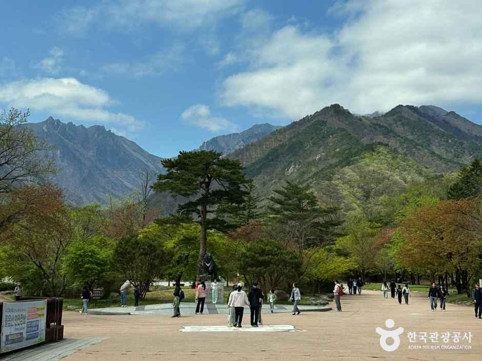설악산소공원 여행 추천 - 메고지고 설악산소공원 여행 추천 - 메고지고