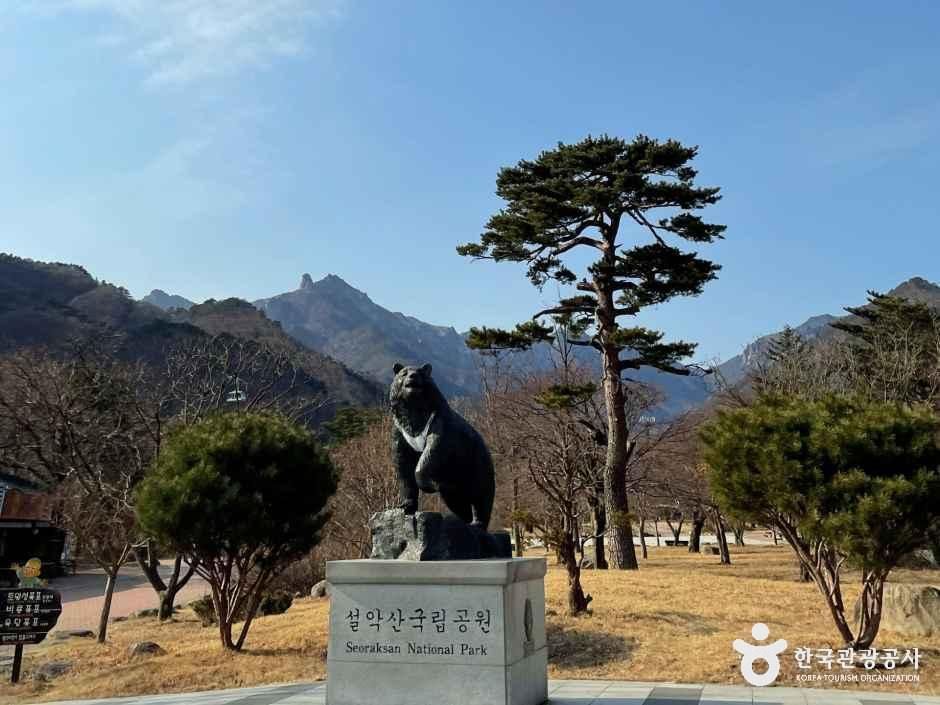 설악산소공원 여행 추천 - 메고지고 설악산소공원 여행 추천 - 메고지고