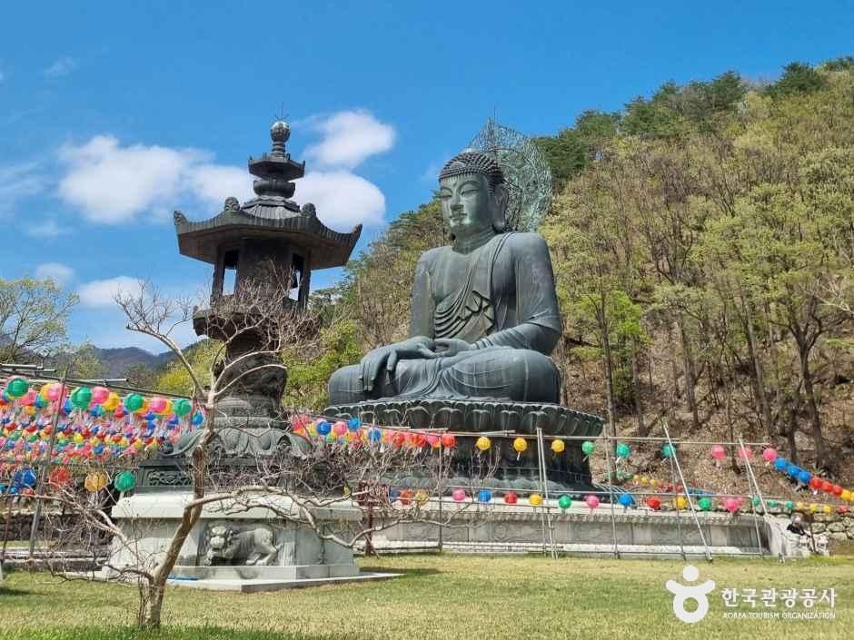 설악산소공원 여행 추천 - 메고지고 설악산소공원 여행 추천 - 메고지고