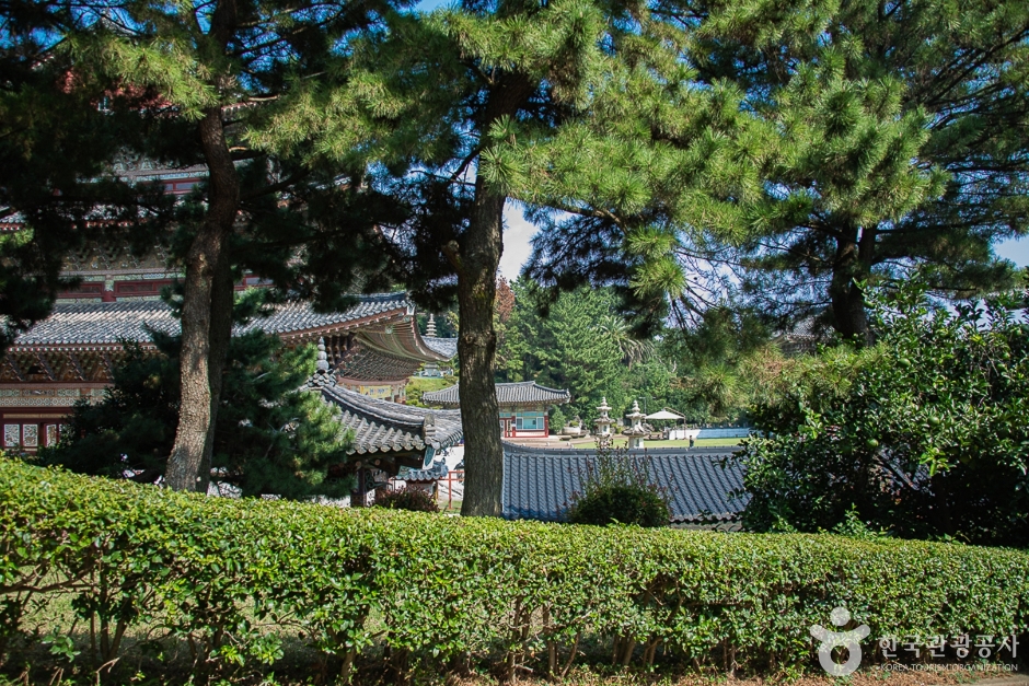 약천사(제주) 여행 추천 - 메고지고
