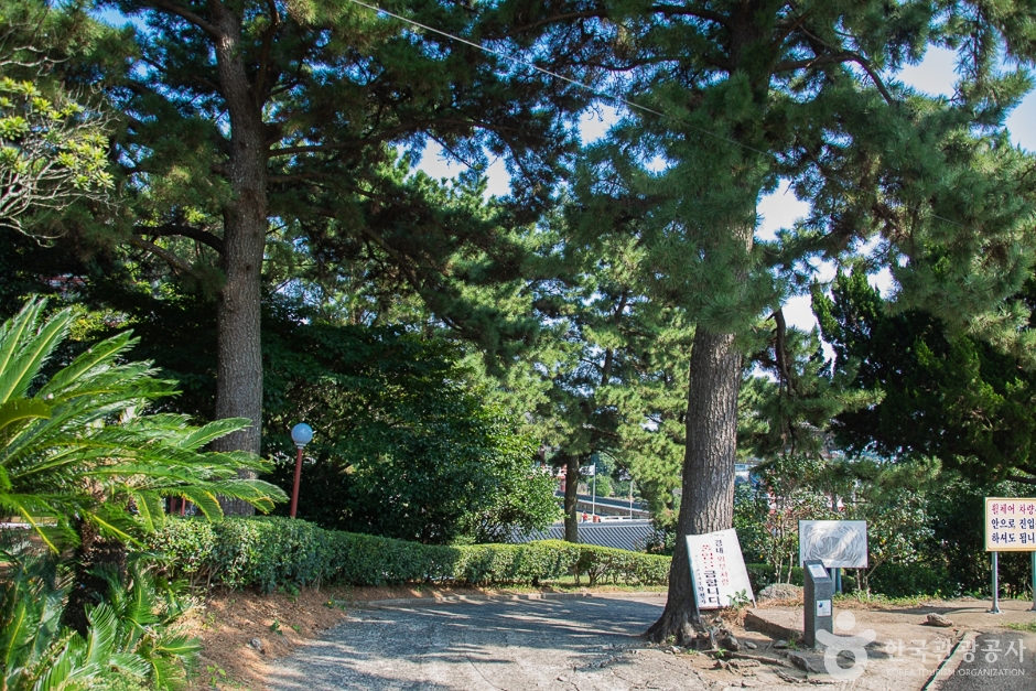 약천사(제주) 여행 추천 - 메고지고
