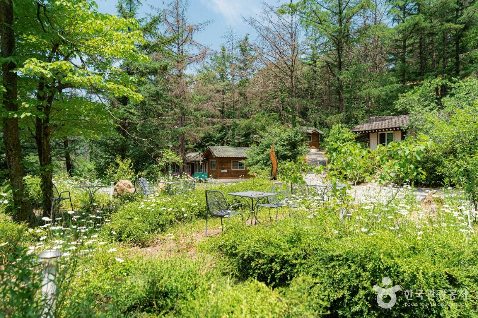 설매재자연휴양림 여행 추천 - 메고지고