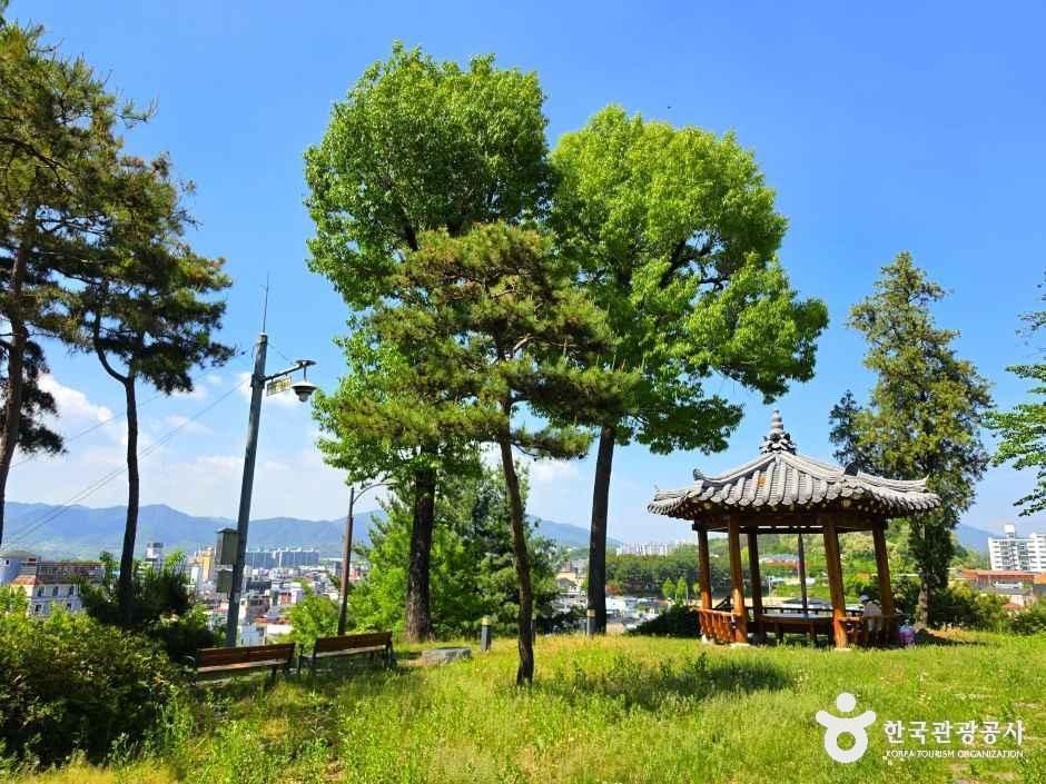 수도산도시숲 여행 추천 - 메고지고 수도산도시숲 여행 추천 - 메고지고