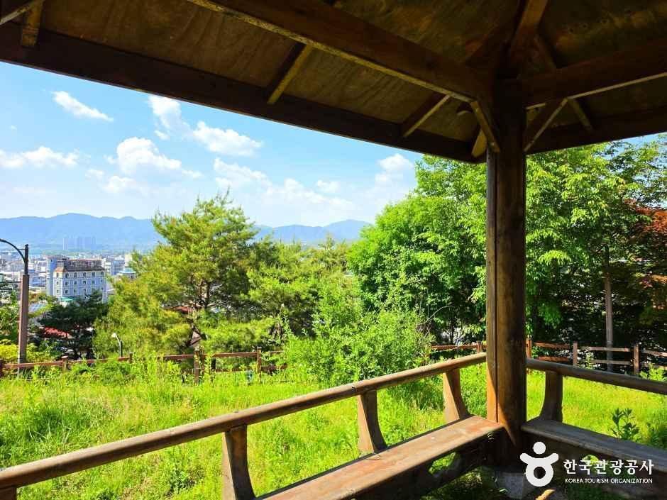 수도산도시숲 여행 추천 - 메고지고 수도산도시숲 여행 추천 - 메고지고