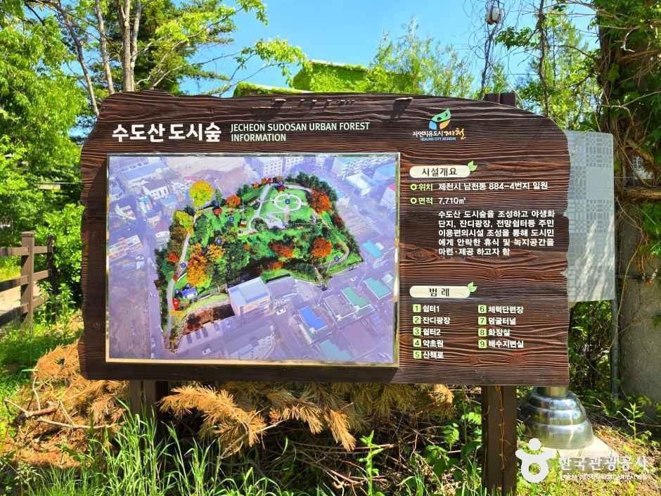 수도산도시숲 여행 추천 - 메고지고 수도산도시숲 여행 추천 - 메고지고
