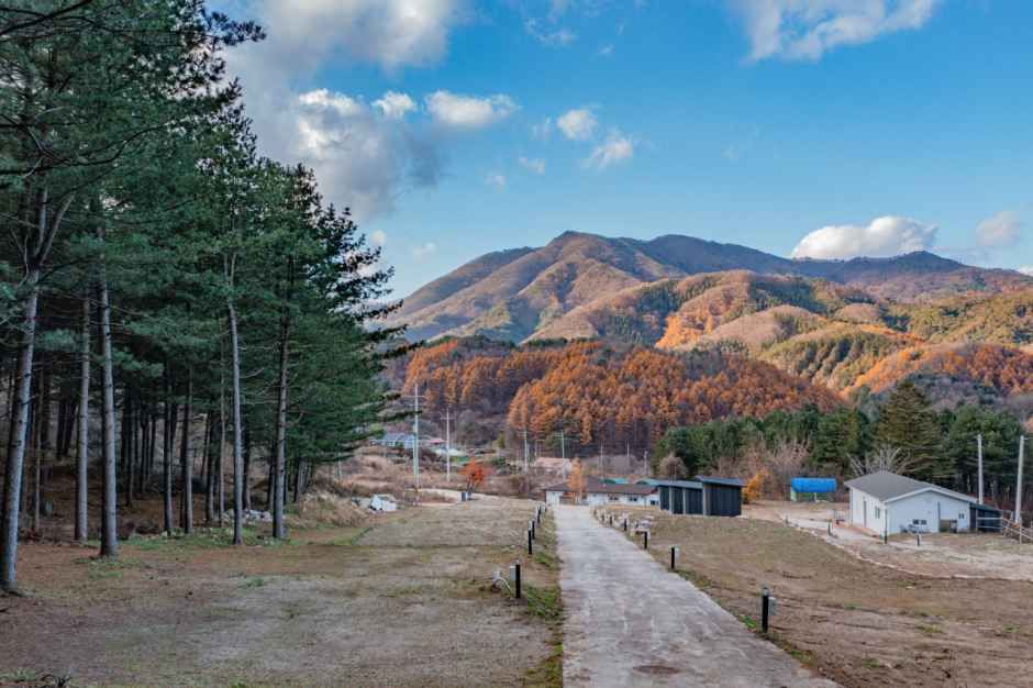 모짜르트 여행 추천 - 메고지고 모짜르트 여행 추천 - 메고지고