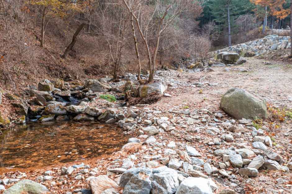 모짜르트 여행 추천 - 메고지고 모짜르트 여행 추천 - 메고지고