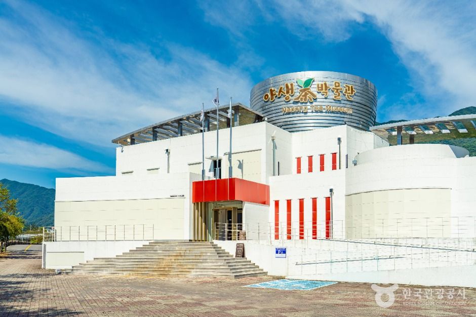 하동야생차박물관 여행 추천 - 메고지고 하동야생차박물관 여행 추천 - 메고지고