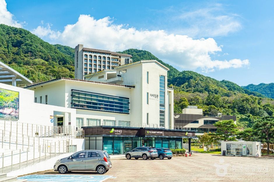하동야생차박물관 여행 추천 - 메고지고 하동야생차박물관 여행 추천 - 메고지고