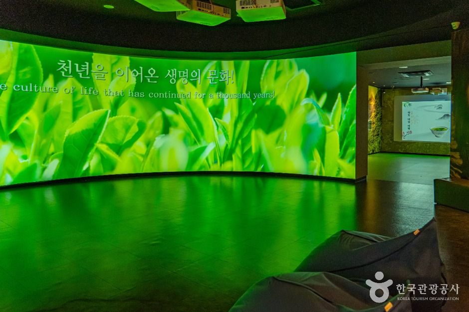 하동야생차박물관 여행 추천 - 메고지고 하동야생차박물관 여행 추천 - 메고지고