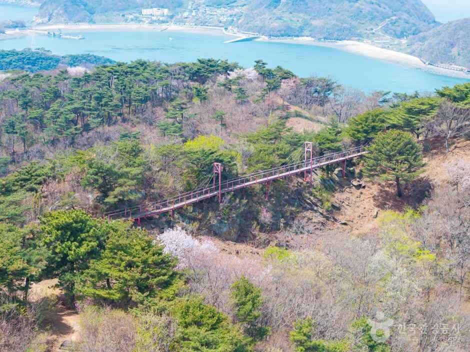 부아산 구름다리 여행 추천 - 메고지고 부아산 구름다리 여행 추천 - 메고지고