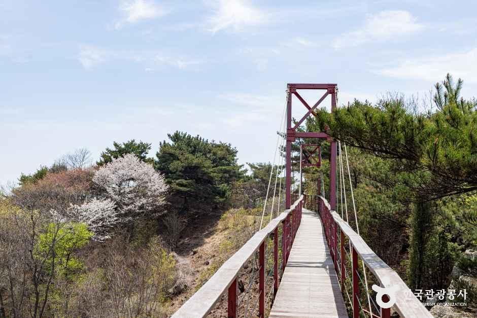 부아산 구름다리 여행 추천 - 메고지고 부아산 구름다리 여행 추천 - 메고지고