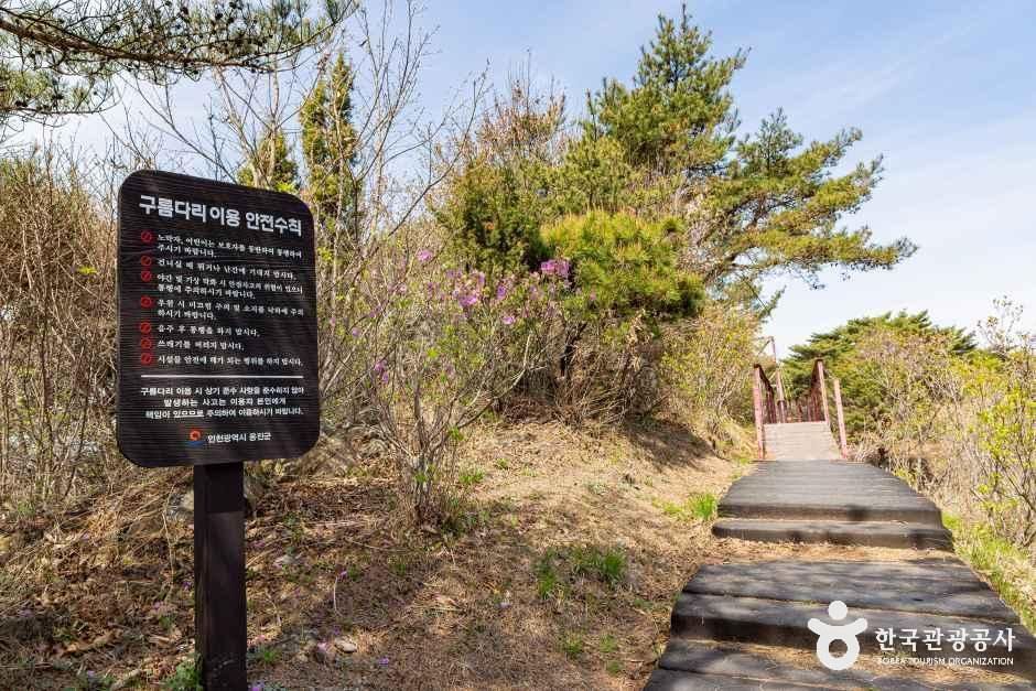 부아산 구름다리 여행 추천 - 메고지고 부아산 구름다리 여행 추천 - 메고지고