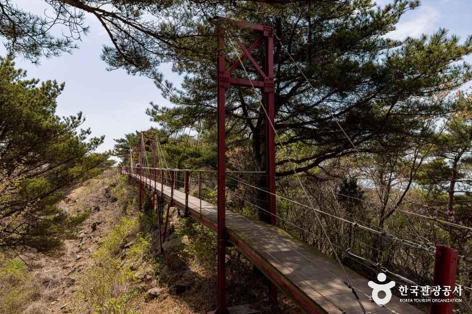 부아산 구름다리 여행 추천 - 메고지고 부아산 구름다리 여행 추천 - 메고지고