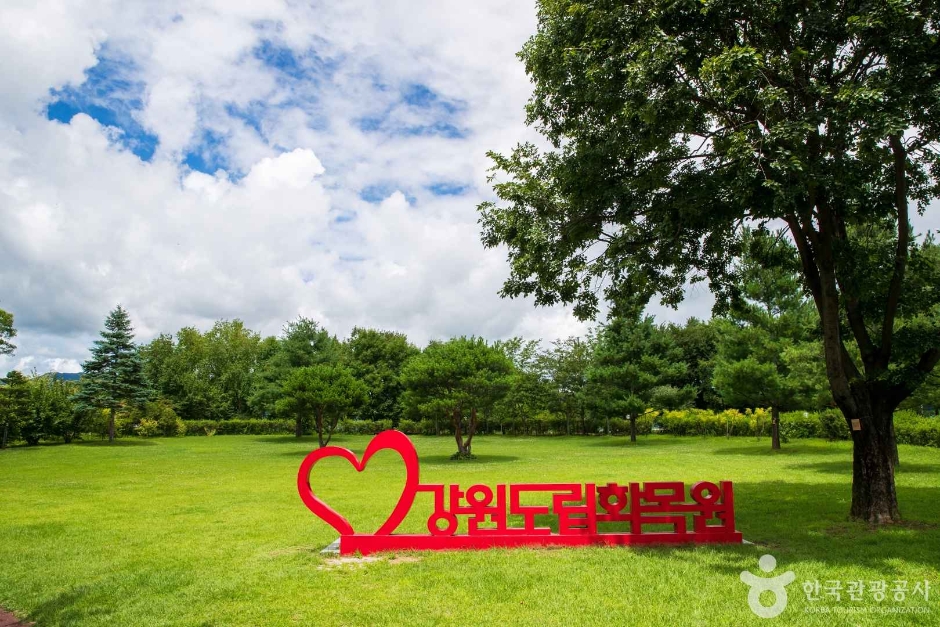강원특별자치도립화목원 여행 추천 - 메고지고 강원특별자치도립화목원 여행 추천 - 메고지고