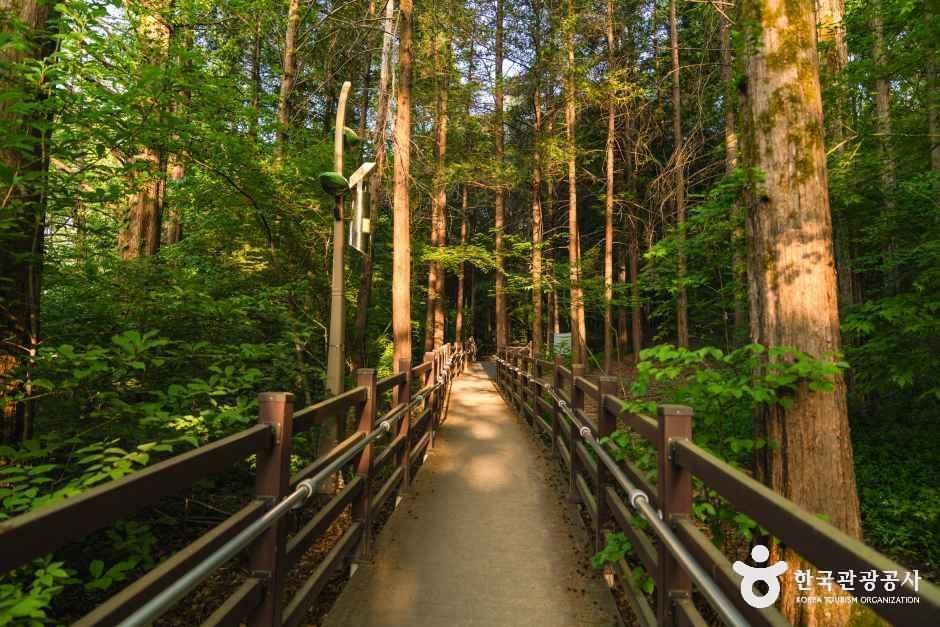건지산숲속작은도서관 여행 추천 - 메고지고 건지산숲속작은도서관 여행 추천 - 메고지고
