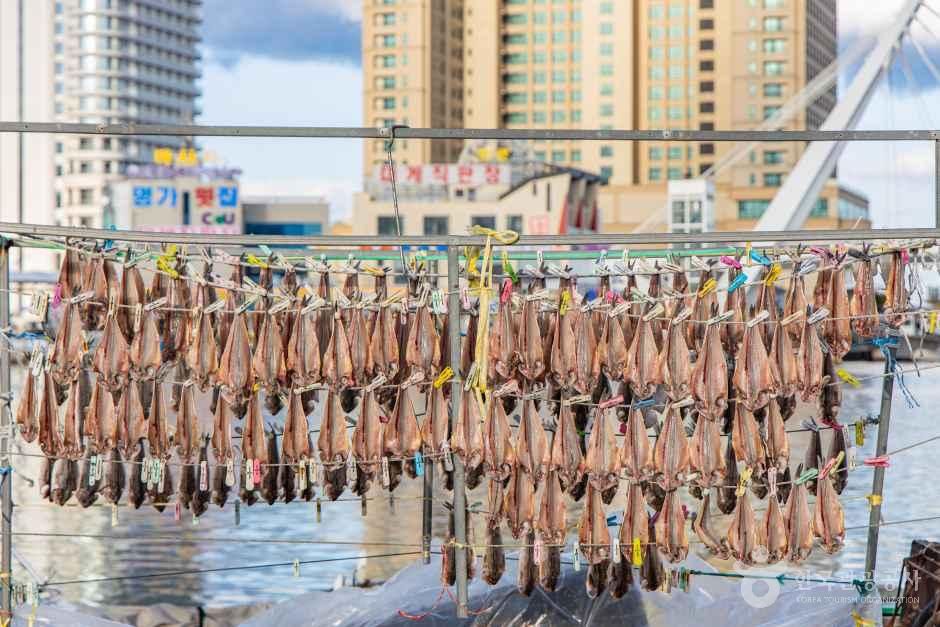 대포항 여행 추천 - 메고지고