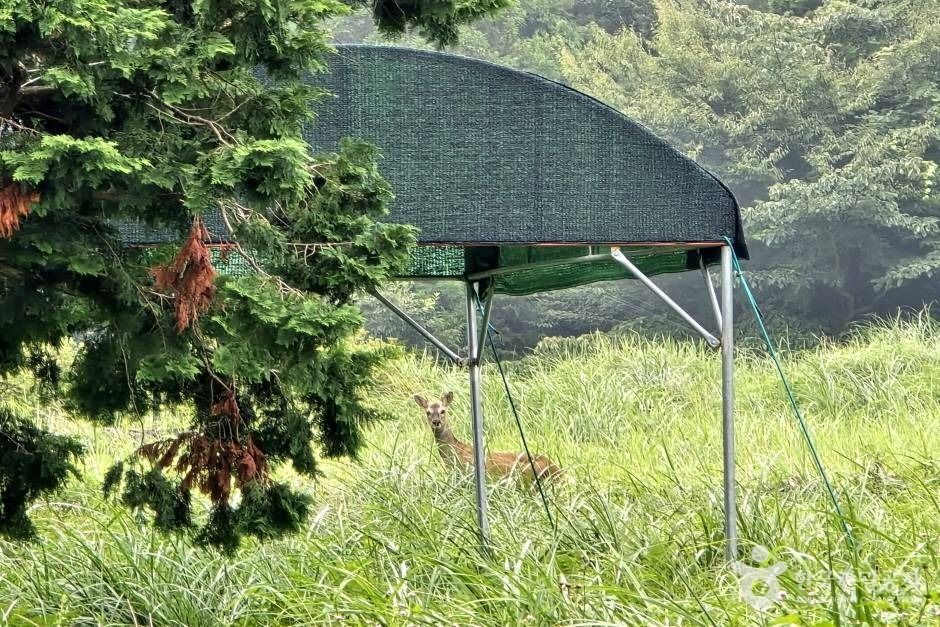 걸서악(걸세오름) 여행 추천 - 메고지고 걸서악(걸세오름) 여행 추천 - 메고지고