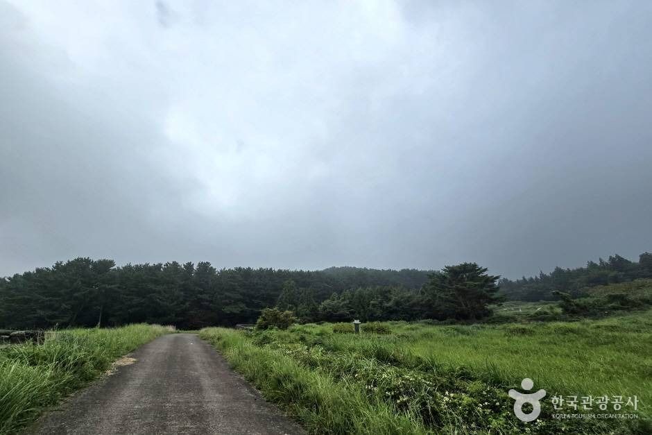 걸서악(걸세오름) 여행 추천 - 메고지고 걸서악(걸세오름) 여행 추천 - 메고지고