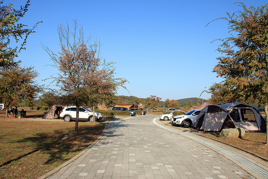 대신 오토캠핑장 여행 추천 - 메고지고