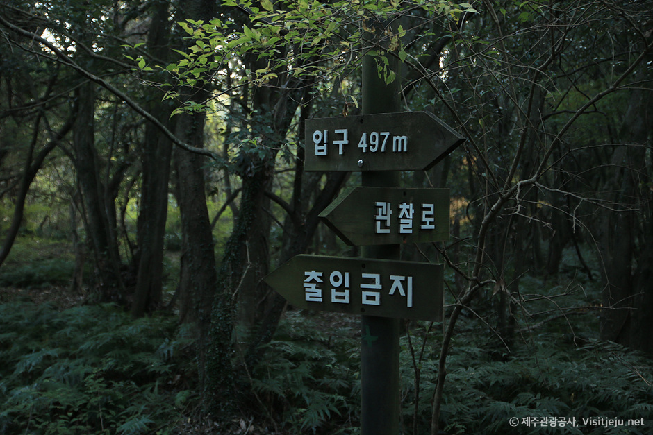 제주 청수리마을 여행 추천 - 메고지고 제주 청수리마을 여행 추천 - 메고지고