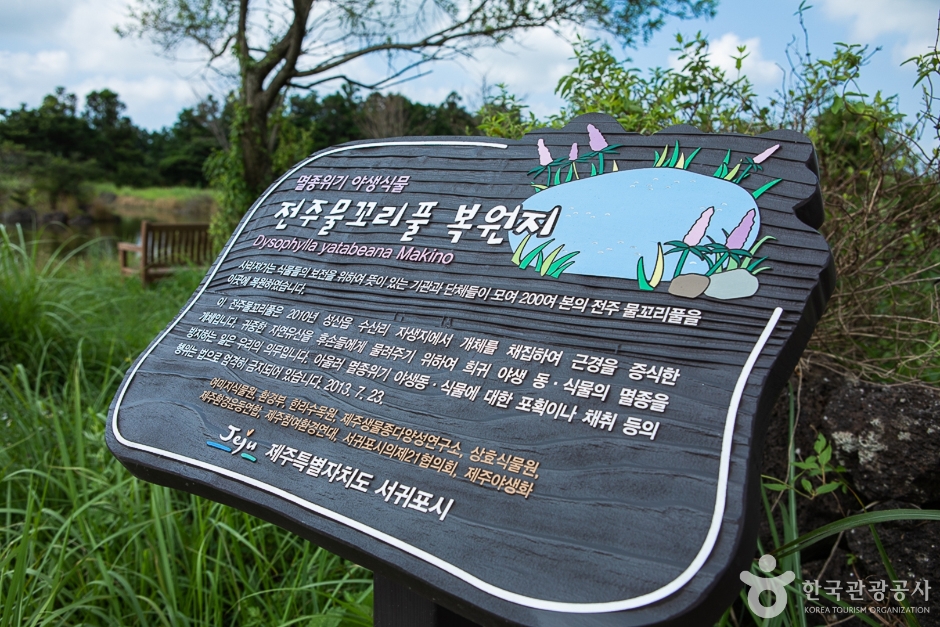 수산한못 여행 추천 - 메고지고