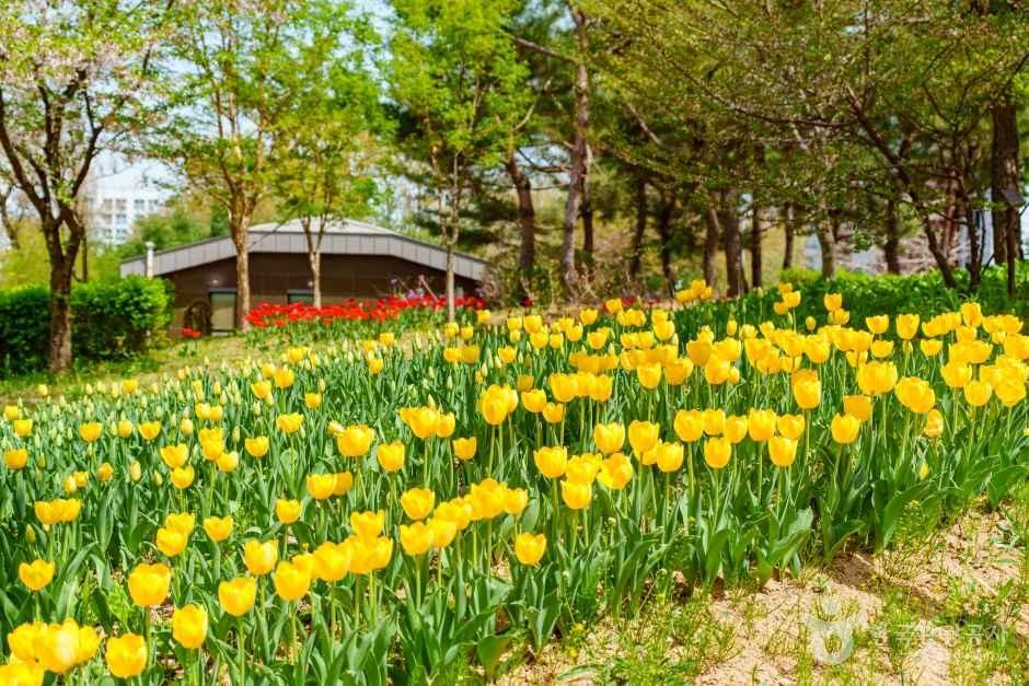 양천도시농업공원 여행 추천 - 메고지고 양천도시농업공원 여행 추천 - 메고지고