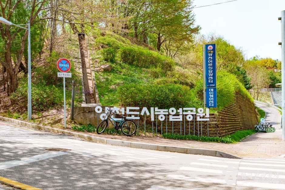 양천도시농업공원 여행 추천 - 메고지고 양천도시농업공원 여행 추천 - 메고지고