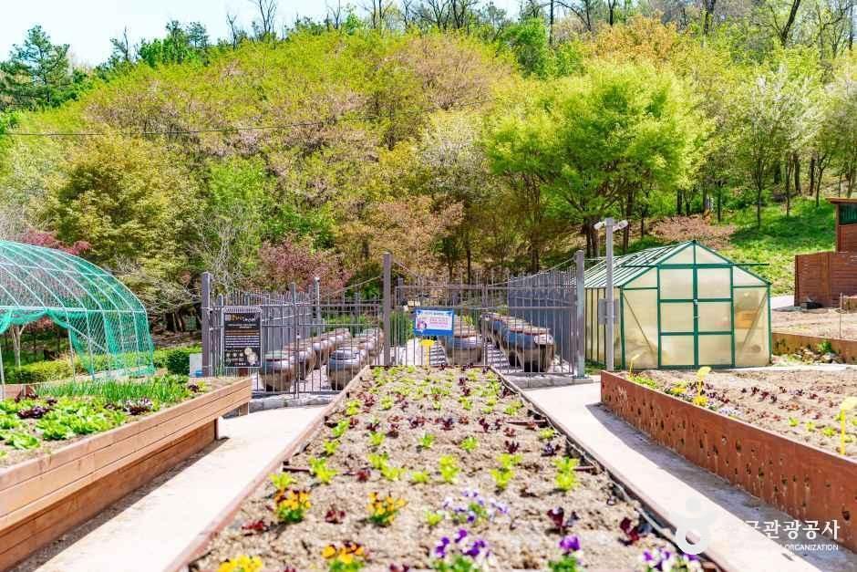 양천도시농업공원 여행 추천 - 메고지고 양천도시농업공원 여행 추천 - 메고지고