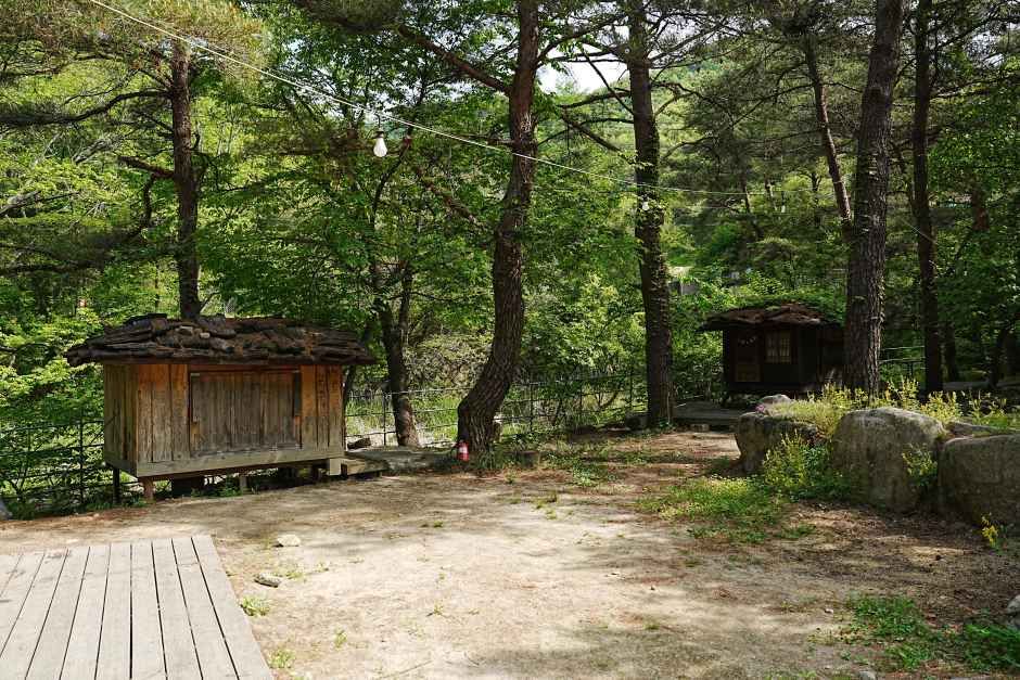 트리하우스계곡야영장 여행 추천 - 메고지고 트리하우스계곡야영장 여행 추천 - 메고지고