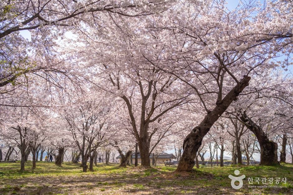 사천선진리성 여행 추천 - 메고지고 사천선진리성 여행 추천 - 메고지고
