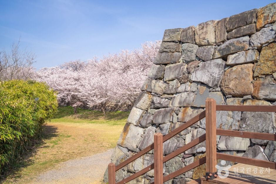 사천선진리성 여행 추천 - 메고지고 사천선진리성 여행 추천 - 메고지고