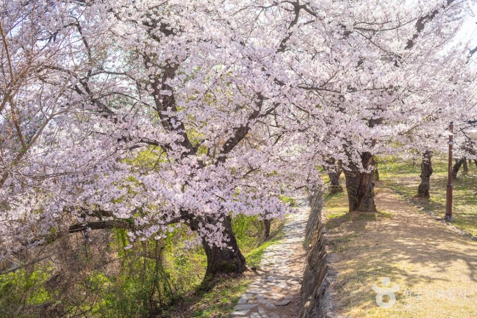 사천선진리성 여행 추천 - 메고지고 사천선진리성 여행 추천 - 메고지고