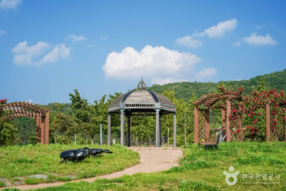 위천수변테마공원 여행 추천 - 메고지고 위천수변테마공원 여행 추천 - 메고지고