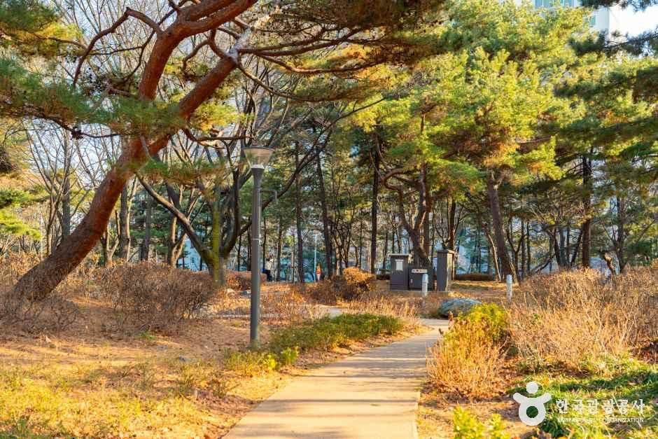 양천공원 여행 추천 - 메고지고