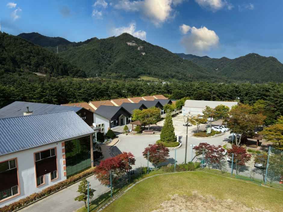 내설악 미리내캠프 여행 추천 - 메고지고