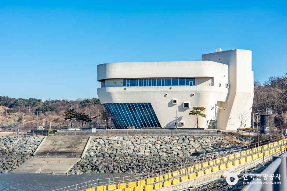 오이도기념공원 여행 추천 - 메고지고