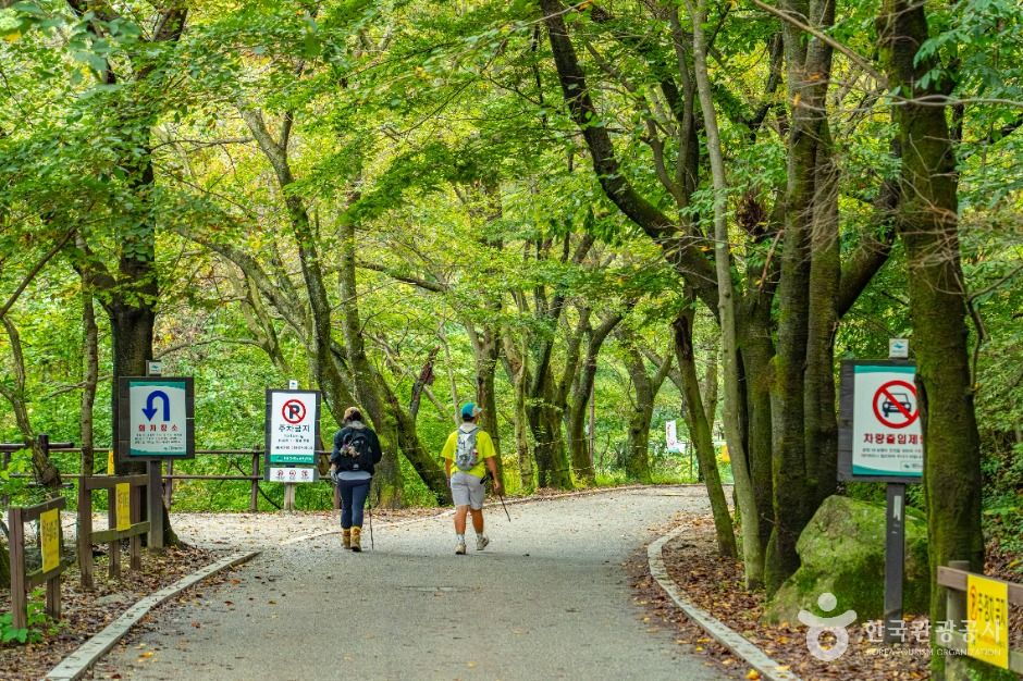 동학사(공주) 여행 추천 - 메고지고