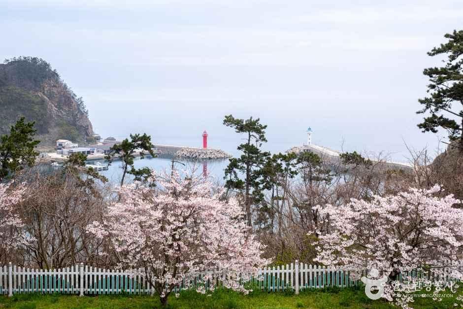고군산섬잇길 여행 추천 - 메고지고 고군산섬잇길 여행 추천 - 메고지고