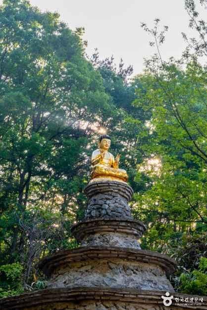 송암사(세종) 여행 추천 - 메고지고 송암사(세종) 여행 추천 - 메고지고