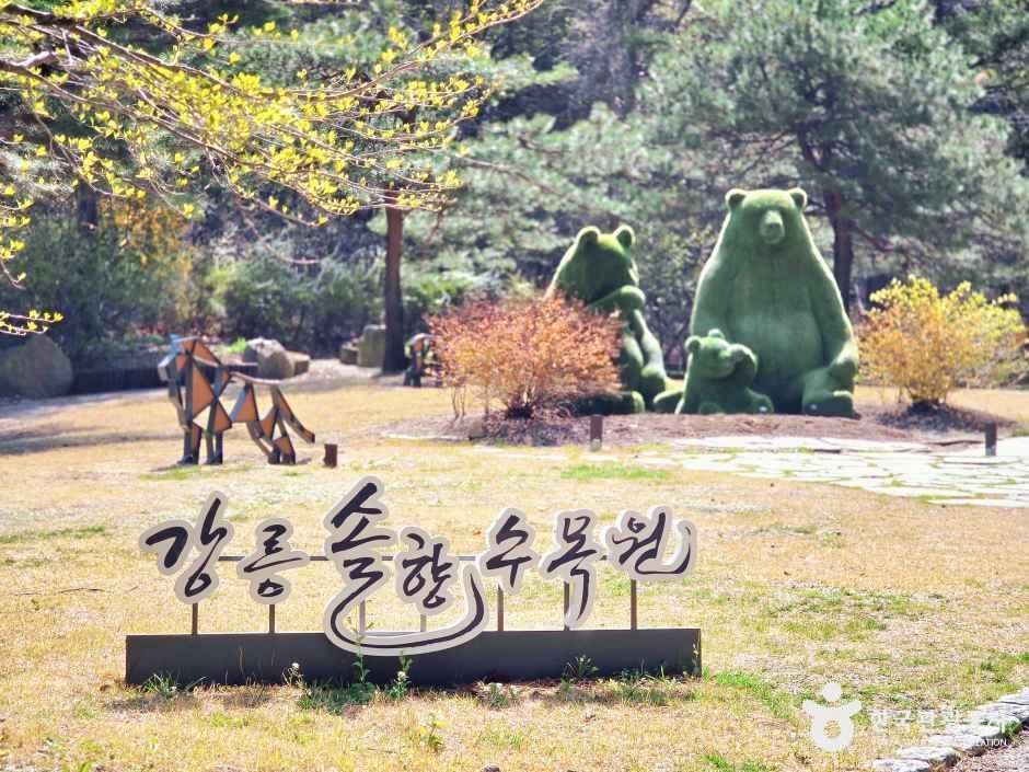 강릉 솔향수목원 여행 추천 - 메고지고 강릉 솔향수목원 여행 추천 - 메고지고