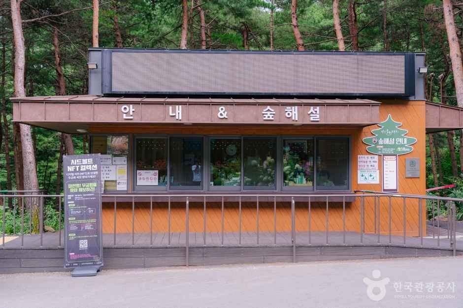 강릉 솔향수목원 여행 추천 - 메고지고 강릉 솔향수목원 여행 추천 - 메고지고