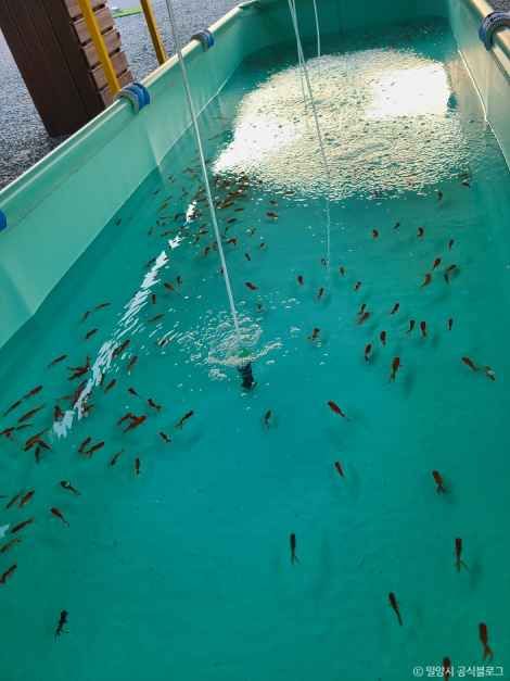 밀양엄마랑놀자키즈글램핑 여행 추천 - 메고지고 밀양엄마랑놀자키즈글램핑 여행 추천 - 메고지고