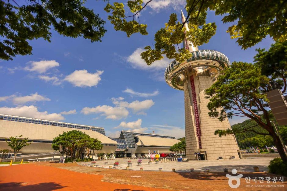 대전드림아레나 여행 추천 - 메고지고 대전드림아레나 여행 추천 - 메고지고